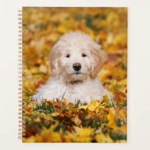 Goldendoodle Puppy In Fall Leaves Planner