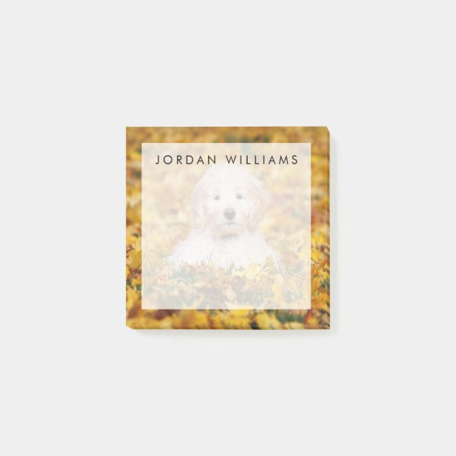 Goldendoodle Puppy In Fall Leaves Post-it Notes (Front)