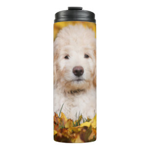 Goldendoodle Puppy In Fall Leaves Thermal Tumbler