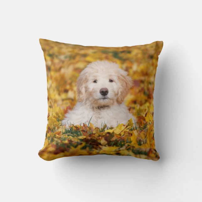 Goldendoodle Puppy In Fall Leaves Throw Pillow (Front)