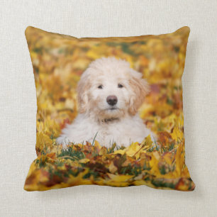 Goldendoodle Puppy In Fall Leaves Throw Pillow