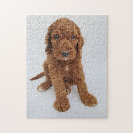 Goldendoodle puppy jigsaw puzzle | Zazzle.ca