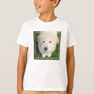 Goldendoodle Puppy Looking At Camera T-Shirt