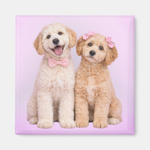 Goldendoodle Puppy Love Valentine Magnet