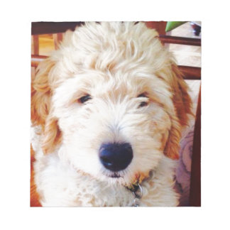 Goldendoodle Puppy Notepad
