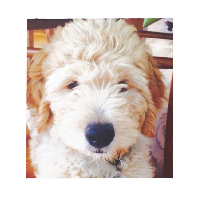 Goldendoodle Puppy Notepad (Front)