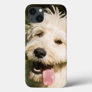Goldendoodle Puppy Panting iPhone 13 Case