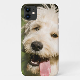 Goldendoodle Puppy Panting iPhone 11 Case