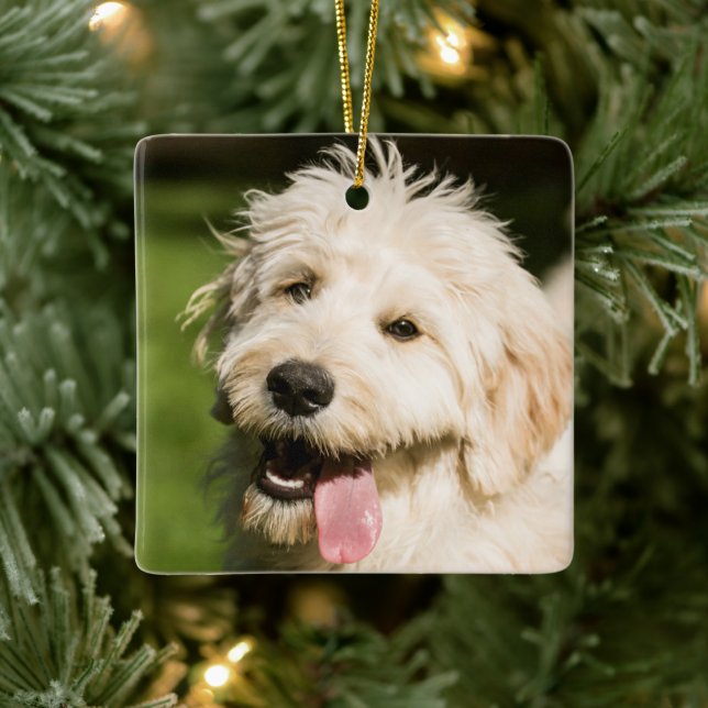 Goldendoodle Puppy Panting Ceramic Ornament (Tree)