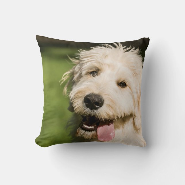 Goldendoodle Puppy Panting Throw Pillow (Front)