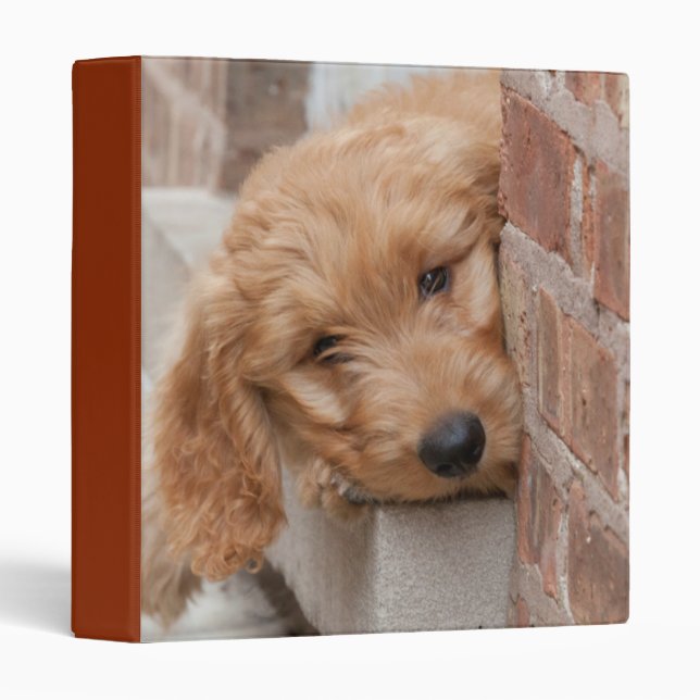 Goldendoodle Puppy Peeking Binder (Front/Spine)
