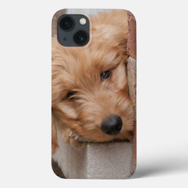 Goldendoodle Puppy Peeking Case-Mate iPhone Case (Back)