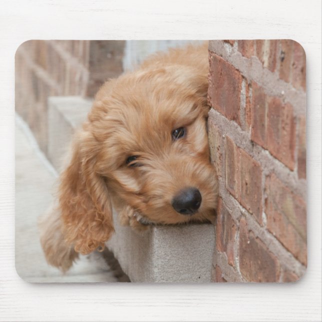 Goldendoodle Puppy Peeking Mouse Pad (Front)
