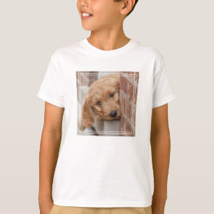 Goldendoodle Puppy Peeking T-Shirt