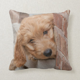 Goldendoodle Puppy Peeking Throw Pillow