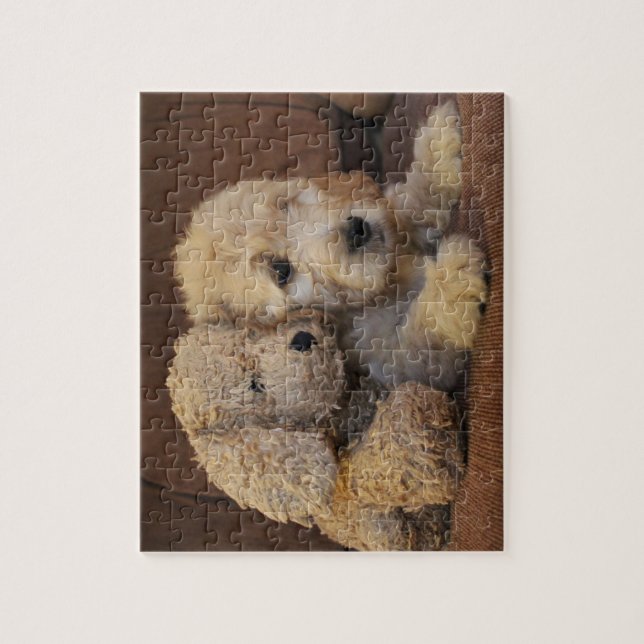 Goldendoodle Puppy Puzzle (Vertical)