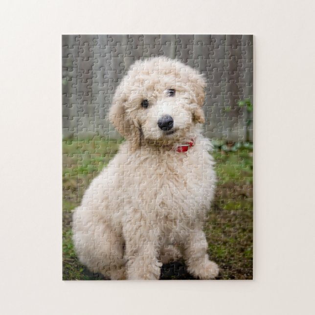 Goldendoodle Puppy Sits In Grass Jigsaw Puzzle (Vertical)