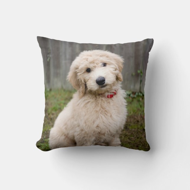 Goldendoodle Puppy Sits In Grass Throw Pillow (Front)