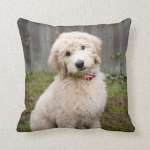 Goldendoodle Puppy Sits In Grass Throw Pillow