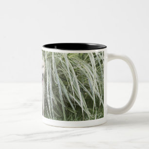 Goldendoodle puppy sitting under tall grasses Two-Tone coffee mug