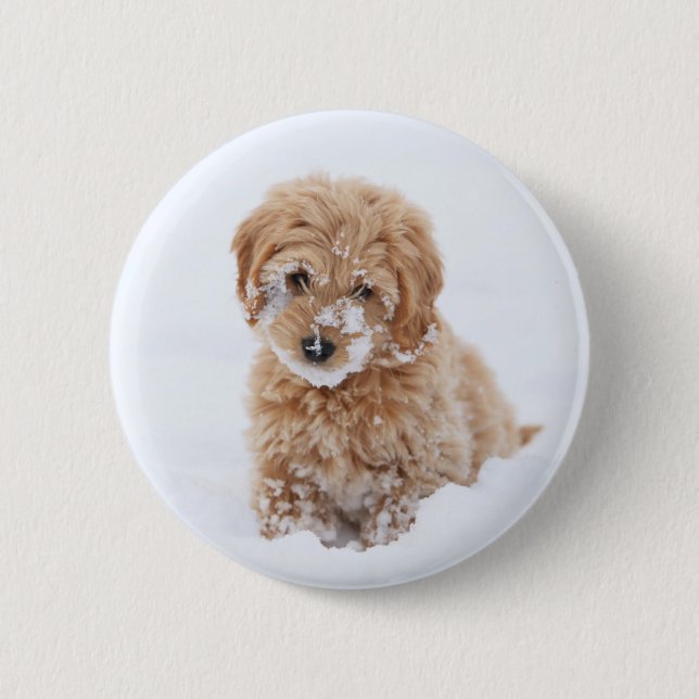 Goldendoodle Puppy With Snow On Face 2 Inch Round Button (Front)