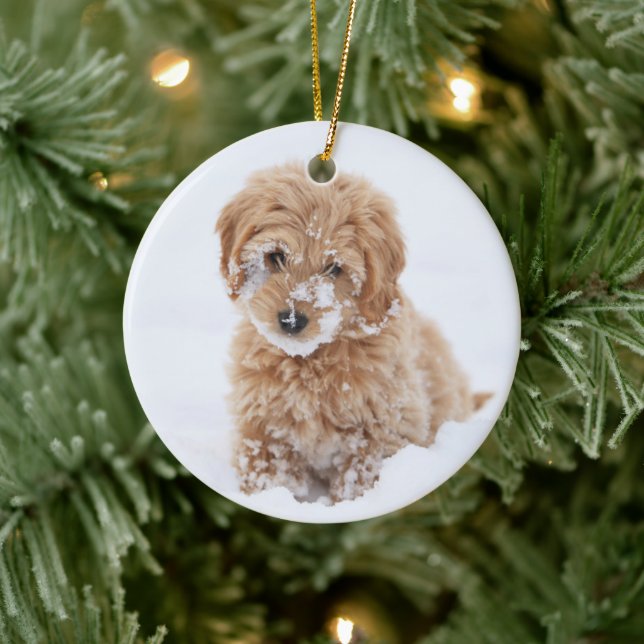Goldendoodle Puppy With Snow On Face Ceramic Ornament (Tree)