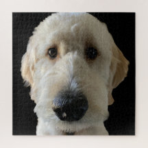 Goldendoodle Puzzle