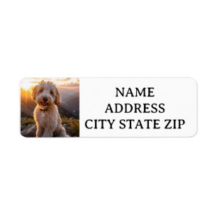 GOLDENDOODLE RETOUR ÉTIQUETTES