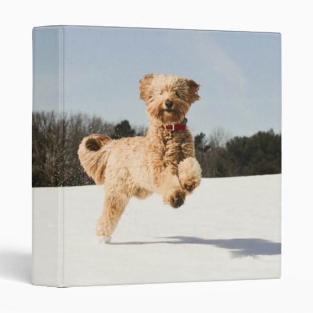 Goldendoodle Running Through Field Binder (Front/Spine)