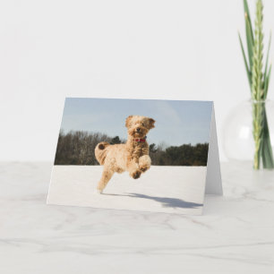 Goldendoodle Running Through Field Card