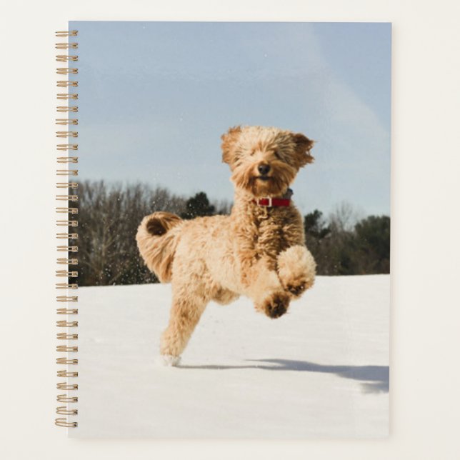 Goldendoodle Running Through Field Planner (Front)