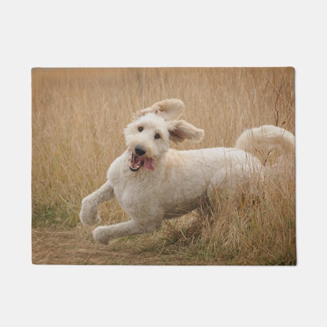 Goldendoodle Runs Through Grass Doormat (Front)