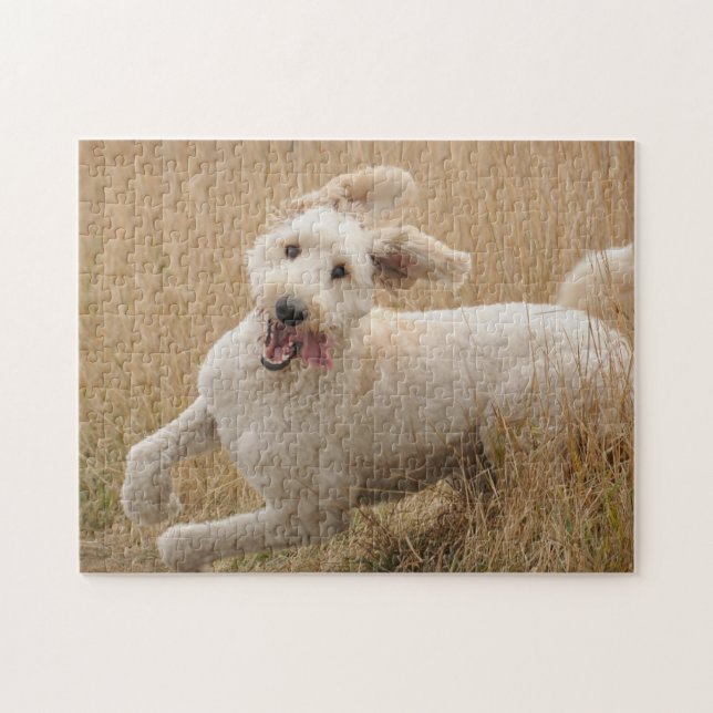 Goldendoodle Runs Through Grass Jigsaw Puzzle (Horizontal)