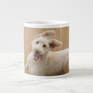 Goldendoodle clearance coffee mug