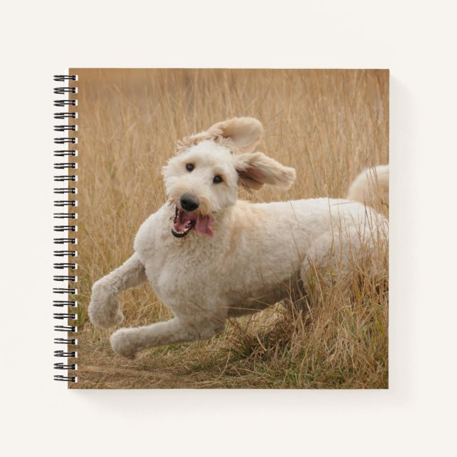 Goldendoodle Runs Through Grass Notebook (Front)