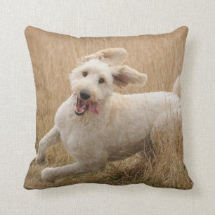 Goldendoodle Runs Through Grass Throw Pillow