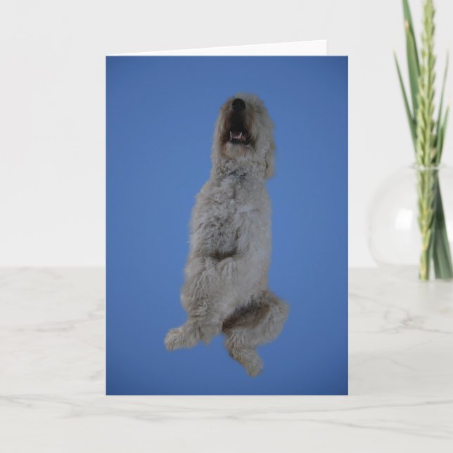 Goldendoodle Sitting Up Greeting Card (Front)