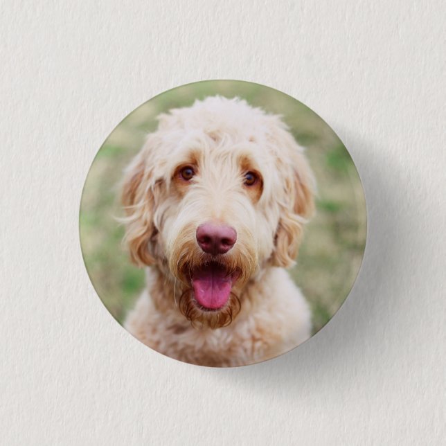 Goldendoodle Smiling 1 Inch Round Button (Front)