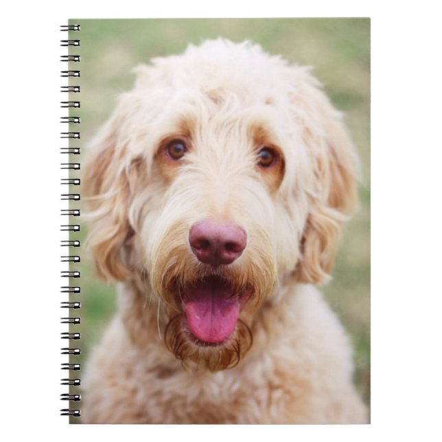 Goldendoodle Smiling Notebook (Front)