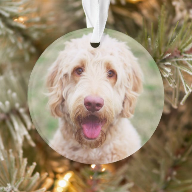 Goldendoodle Smiling Ornament (Tree)