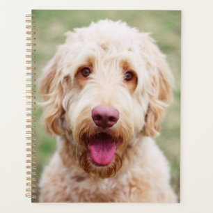 Goldendoodle Smiling Planner