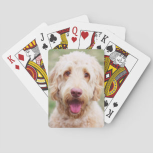 Goldendoodle Smiling Playing Cards