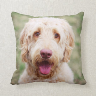 Goldendoodle Smiling Throw Pillow