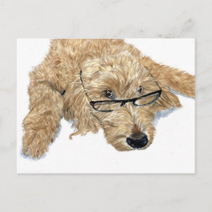 Goldendoodle Stella Postcard