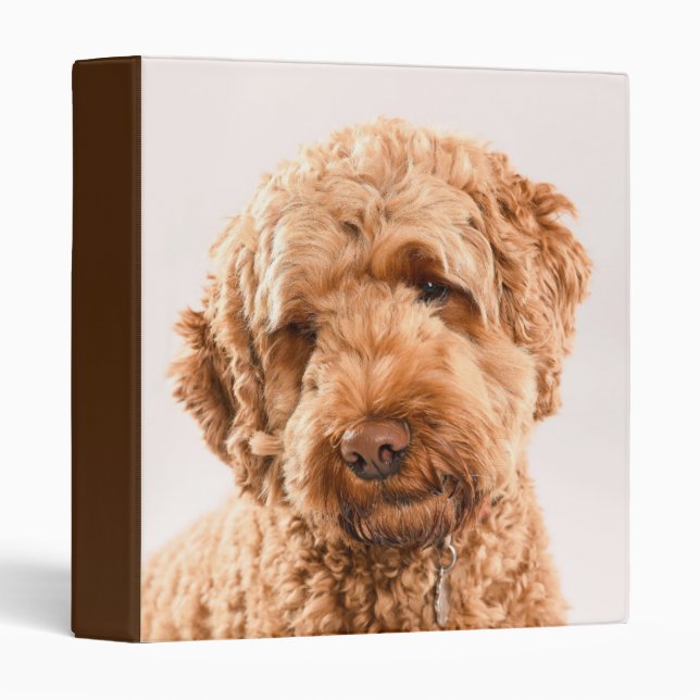 Goldendoodle Studio Portrait Binder (Front/Spine)