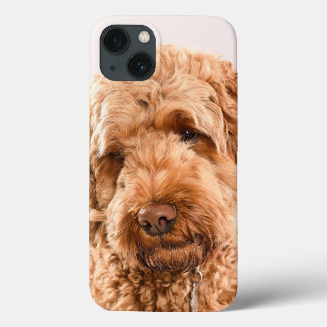 Goldendoodle Studio Portrait Case-Mate iPhone Case (Back)