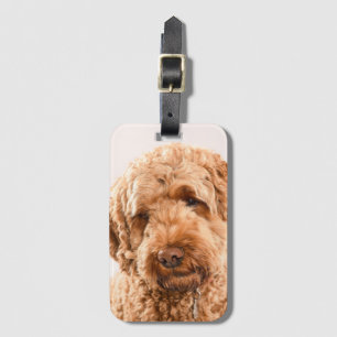 Goldendoodle Studio Portrait Luggage Tag