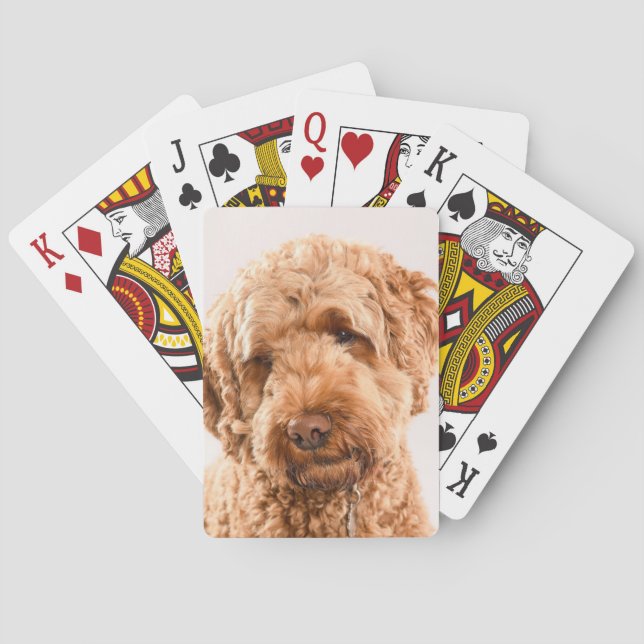 Goldendoodle Studio Portrait Playing Cards (Back)