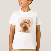 Goldendoodle Studio Portrait