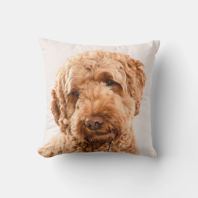 Goldendoodle Studio Portrait Throw Pillow (Front)